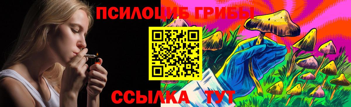 Псилоцибиновые грибы Cubensis  Галлюциногенные грибы Magic Shrooms  Куйбышев  Вход с VPN 